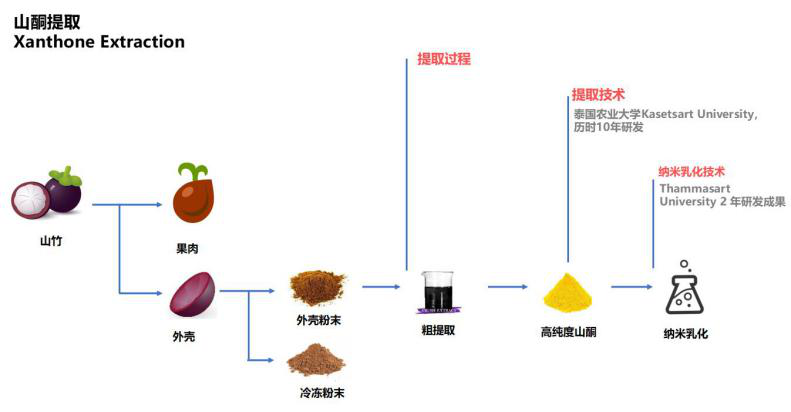 泰国本土品牌ACNOC艾克诺，痘痘肌的福音