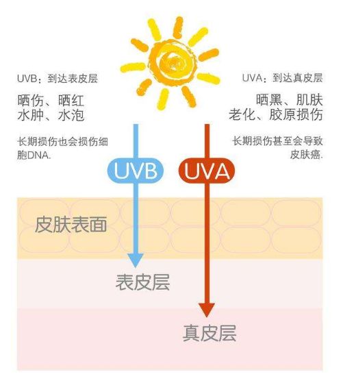 玉泽大分子白金盾防晒乳，敏感肌防晒的新选择